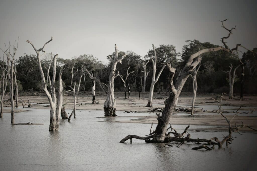 Natural Disasters in Australia